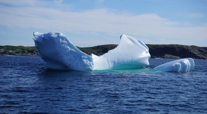 Icebergs, and Vikings, and Whales….Oh My!